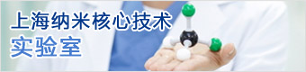 上海纳米核心技术实验室