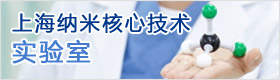 上海纳米核心技术实验室